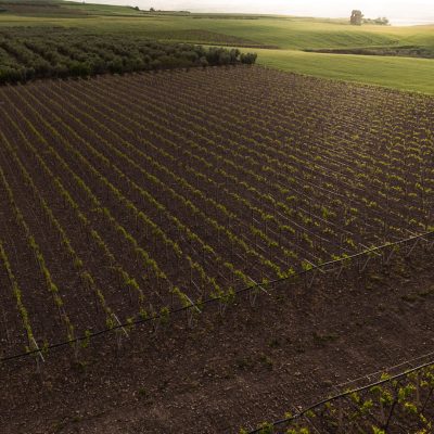 DJI_0167