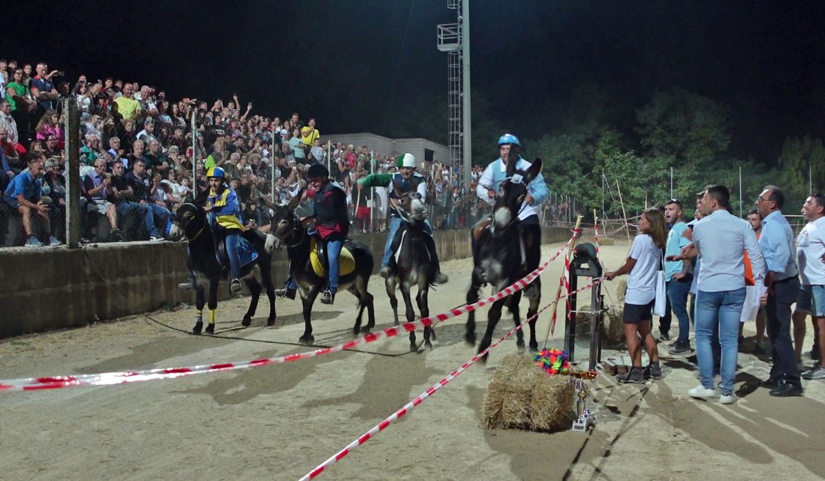 Palio-degli-asini-2