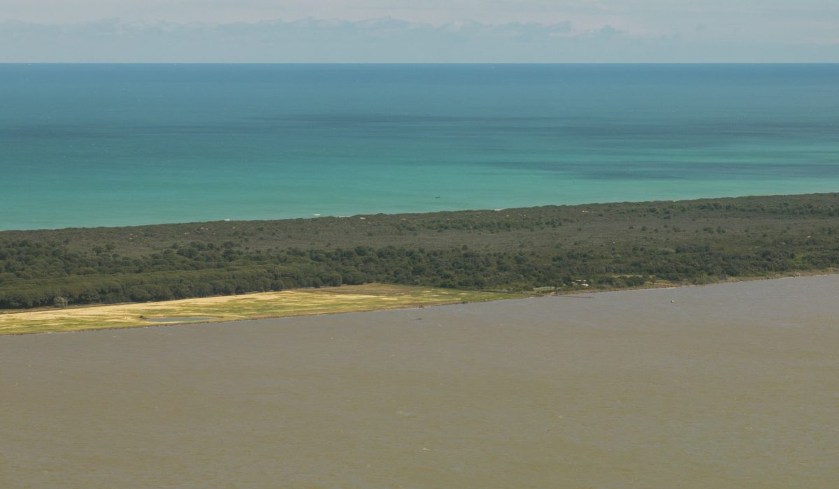 bosco isola (1)